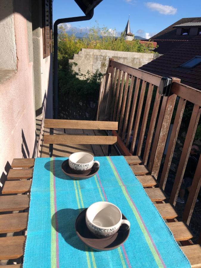 Appartement Dans La Vieille Ville, En Face Du Chateau 안시 외부 사진
